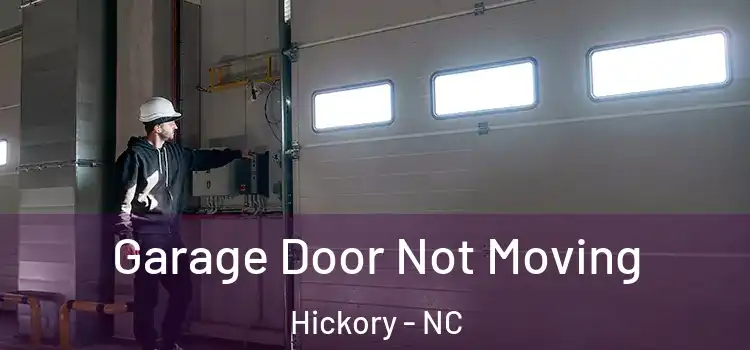  Garage Door Not Moving Hickory - NC