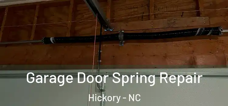  Garage Door Spring Repair Hickory - NC