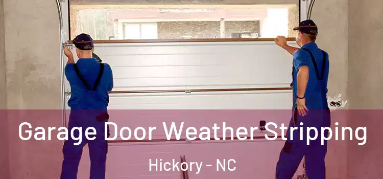 Garage Door Weather Stripping Hickory - NC