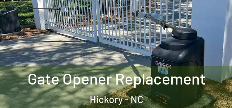 Gate Opener Replacement Hickory - NC
