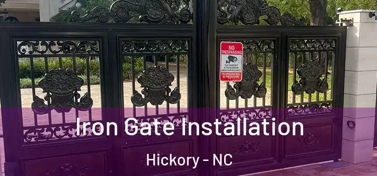 Iron Gate Installation Hickory - NC