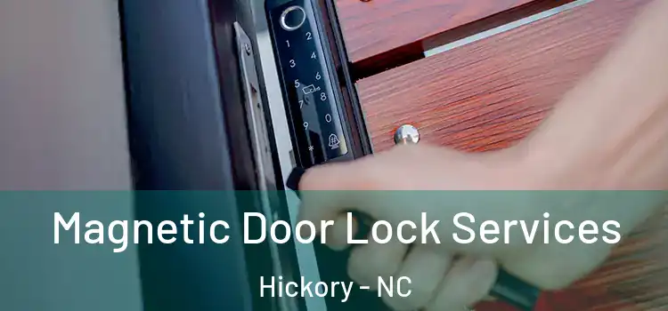 Magnetic Door Lock Services Hickory - NC