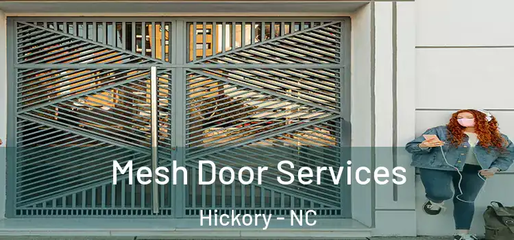 Mesh Door Services Hickory - NC