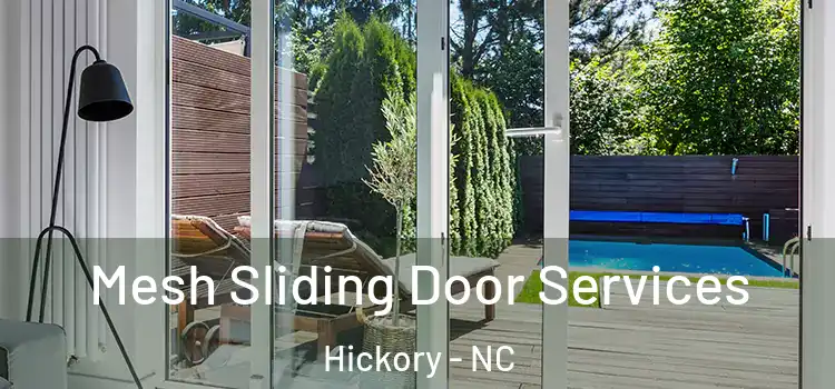Mesh Sliding Door Services Hickory - NC