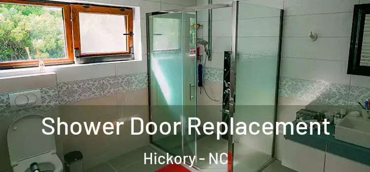 Shower Door Replacement Hickory - NC