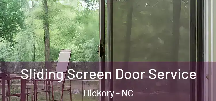 Sliding Screen Door Service Hickory - NC
